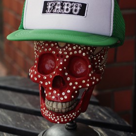 FABU PATCH MESH CAP