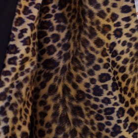 SSDD LEOPARD LINED WINDBREAKER