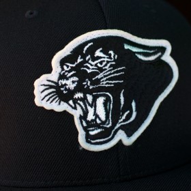 SSDD PANTHER CAP